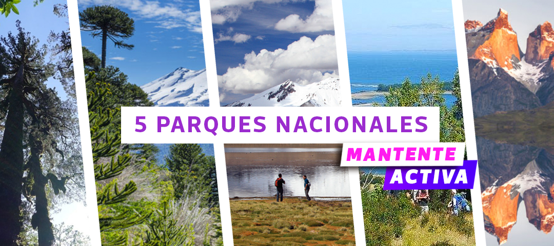 5 Parques Nacionales para Visitar este Verano